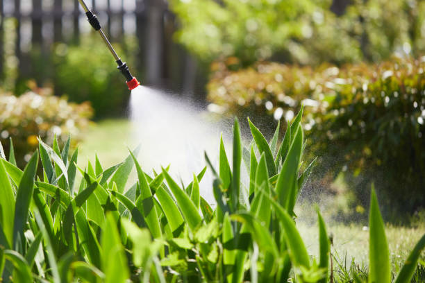 24/7 Emergency Mosquito Control experts in New Oxford, PA