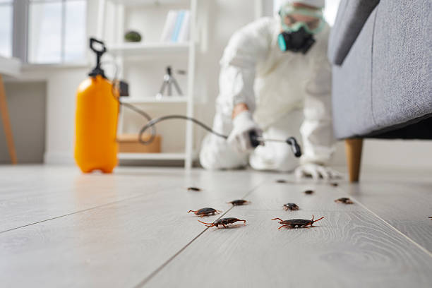 Trusted Cockroach Control service in New Oxford, PA - Nex Pest Control