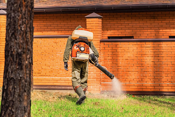 Trusted Rodent Control service in New Oxford, PA - Nex Pest Control